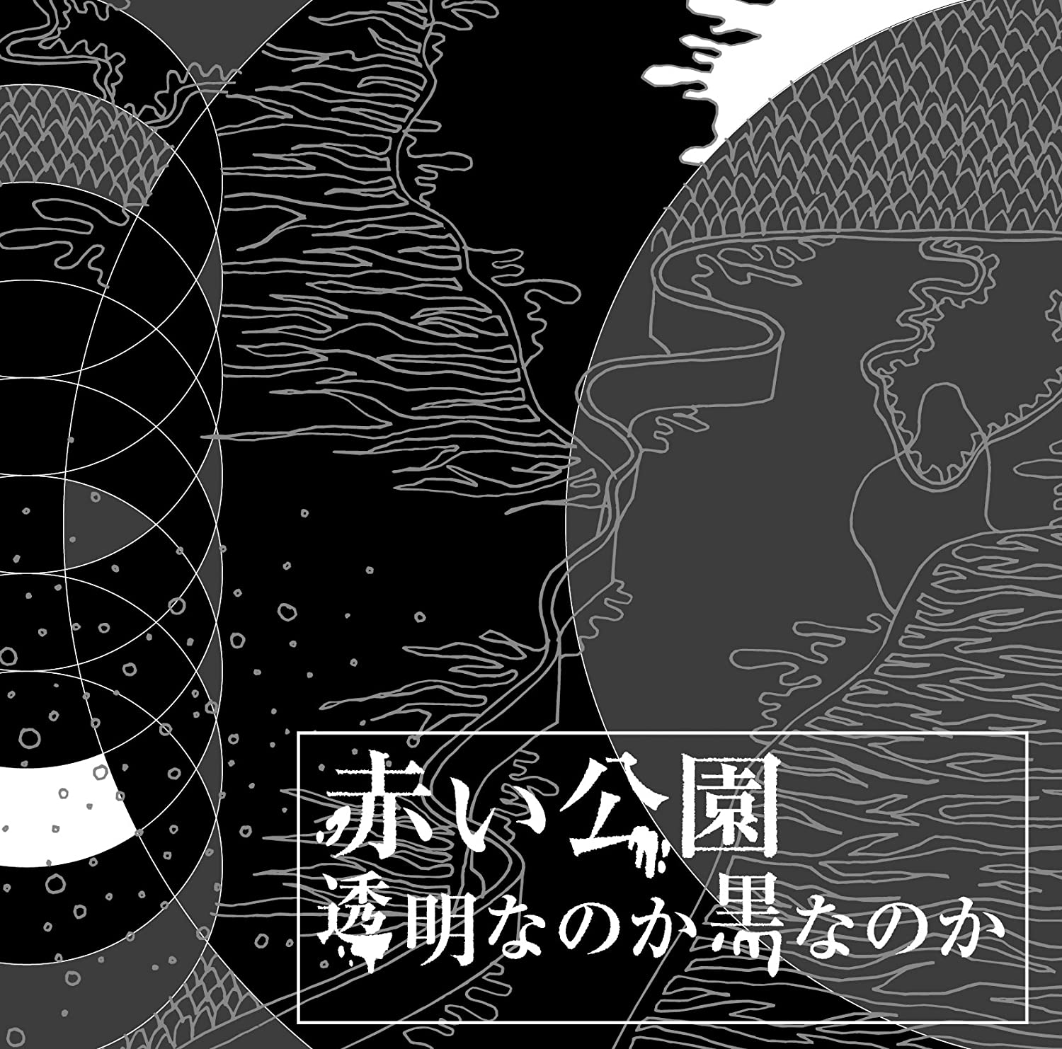 6位：透明なのか黒なのか