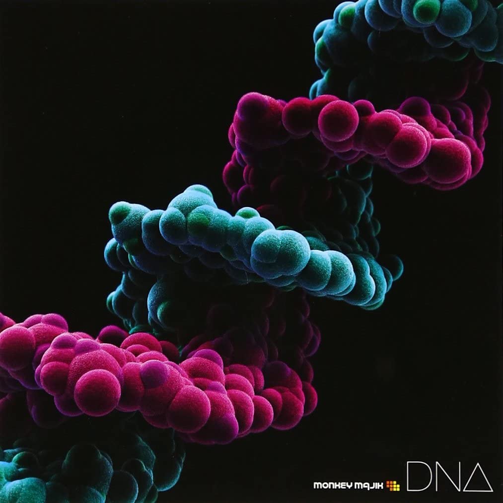9位：DNA