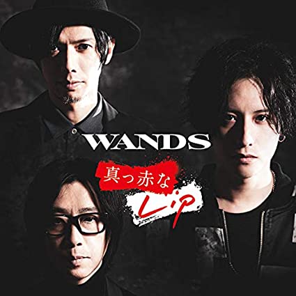 復活を果たしたWANDS