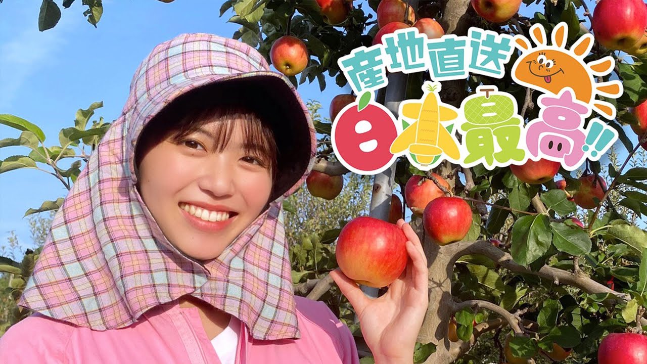 彩香を収穫しました!!『RINGOMUSUMEの産地直送 日本最高!!』 - YouTube