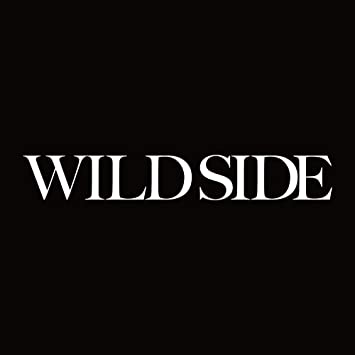 「Wild Side」も代表曲