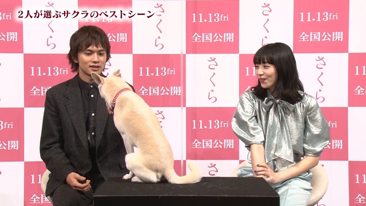 北村匠海＆⼩松菜奈、愛犬“サクラ”にメロメロ！？　映画『さくら』犬の日特別映像 - YouTube