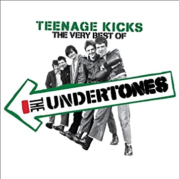 17位：Teenage Kicks