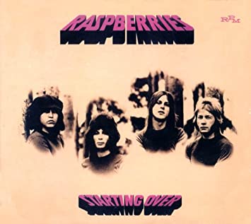 2位：Raspberries