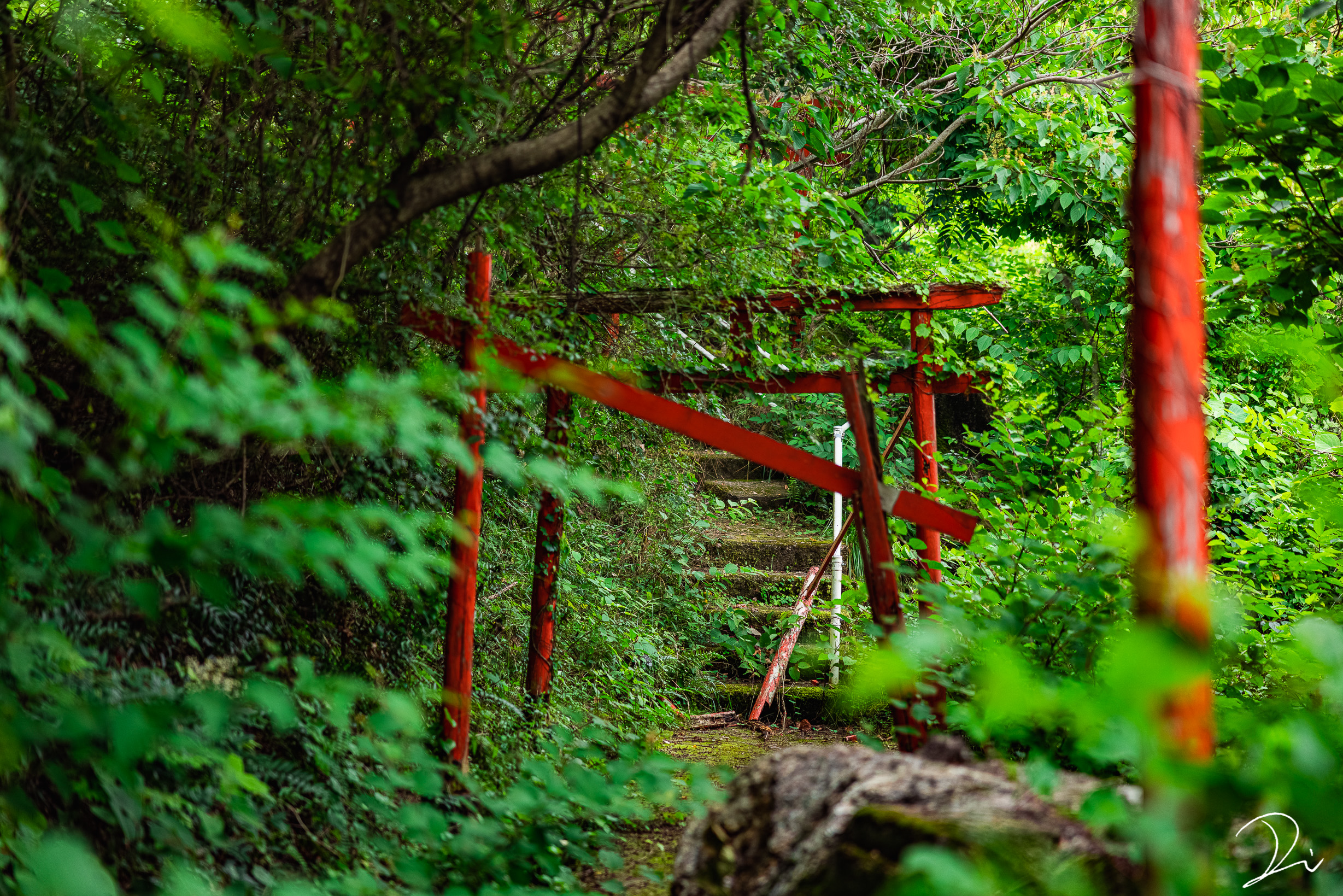 奥村秀一（金太郎）の実家は神社だった？