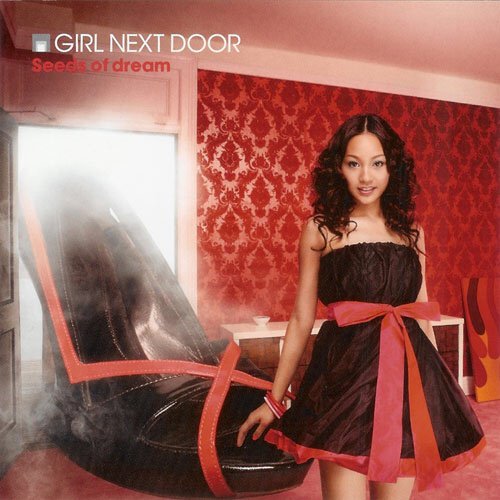 「GIRL NEXT DOOR」は2013年に解散した