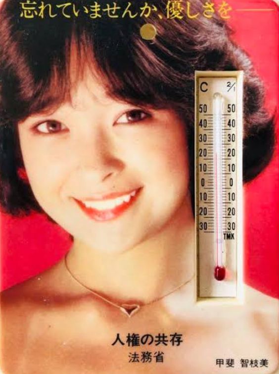 甲斐智枝美は2006年に死去した