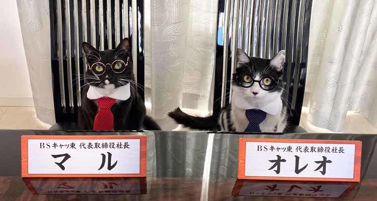 黒歴史は自身ではなく、愛猫のことだった！